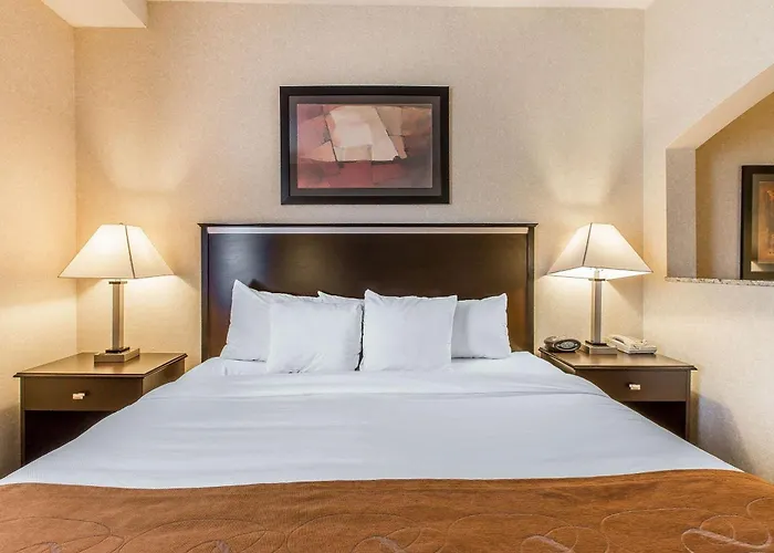 Comfort Suites Summit County
